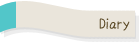 diary